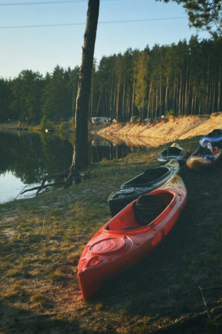 Kolorowe kajaki stoją na brzegu spokojnego jeziora otoczonego lasem, przygotowane do spływu lub rekreacji na wodzie.